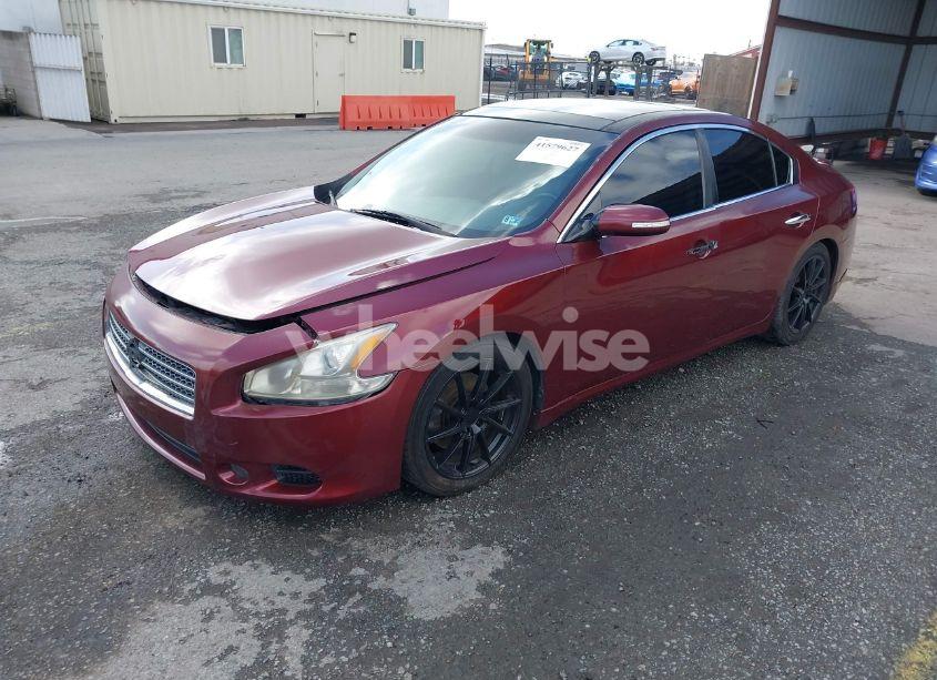 Photo 2 of 2009 Nissan Maxima 3.5 SV (VIN 1N4AA51E39C821734)