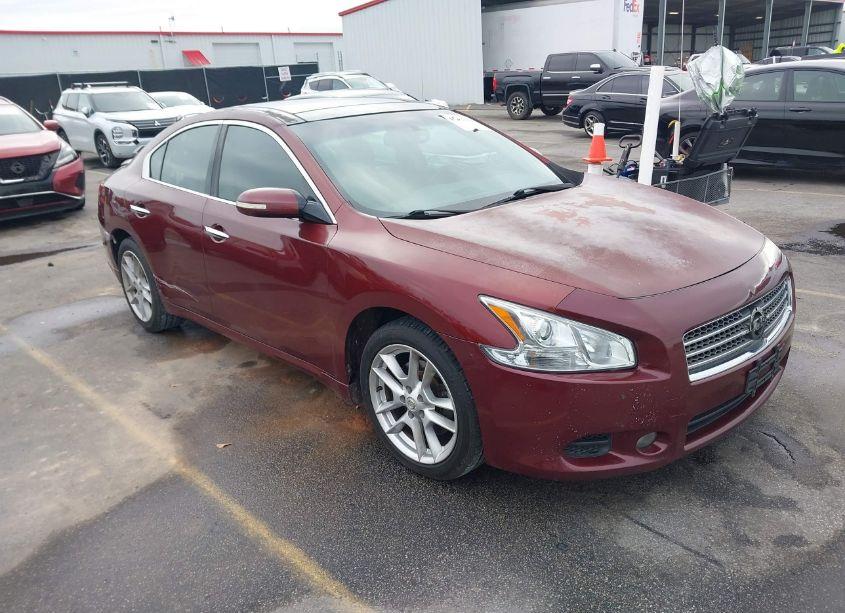 2009 Nissan Maxima 3.5 SV (VIN 1N4AA51E39C836542) main photo