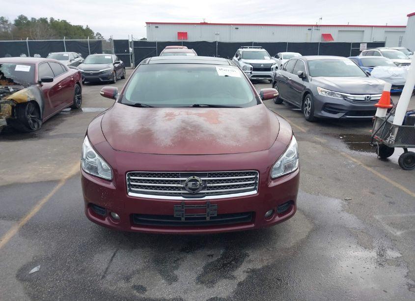 Photo 12 of 2009 Nissan Maxima 3.5 SV (VIN 1N4AA51E39C836542)