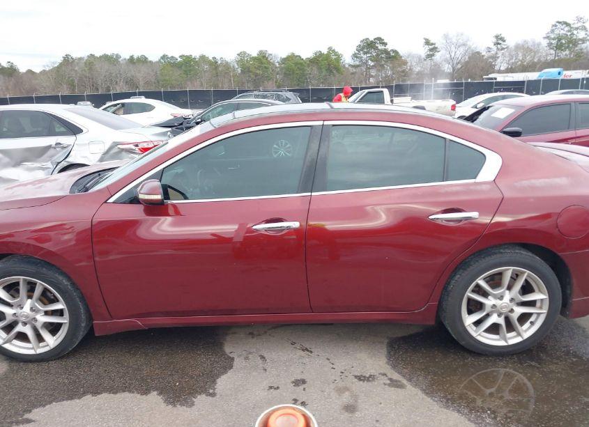 Photo 14 of 2009 Nissan Maxima 3.5 SV (VIN 1N4AA51E39C836542)
