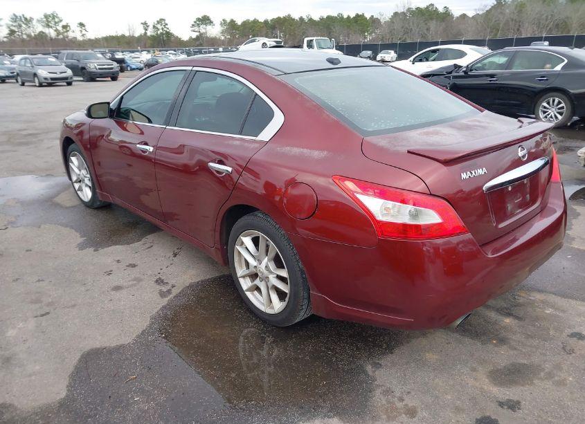 Photo 3 of 2009 Nissan Maxima 3.5 SV (VIN 1N4AA51E39C836542)
