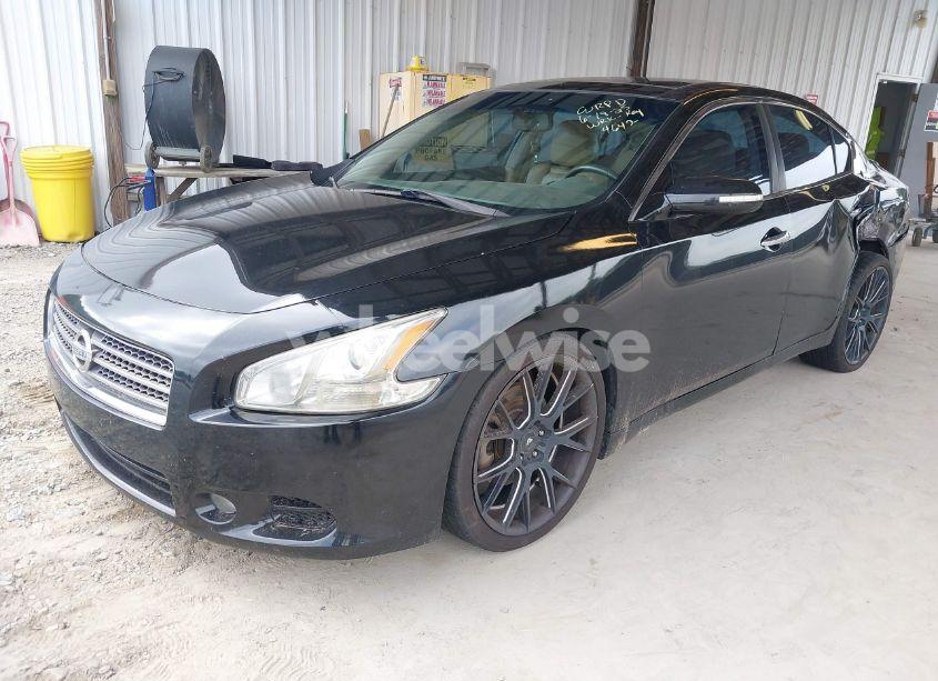 Photo 2 of 2009 Nissan Maxima 3.5 SV (VIN 1N4AA51E39C844642)