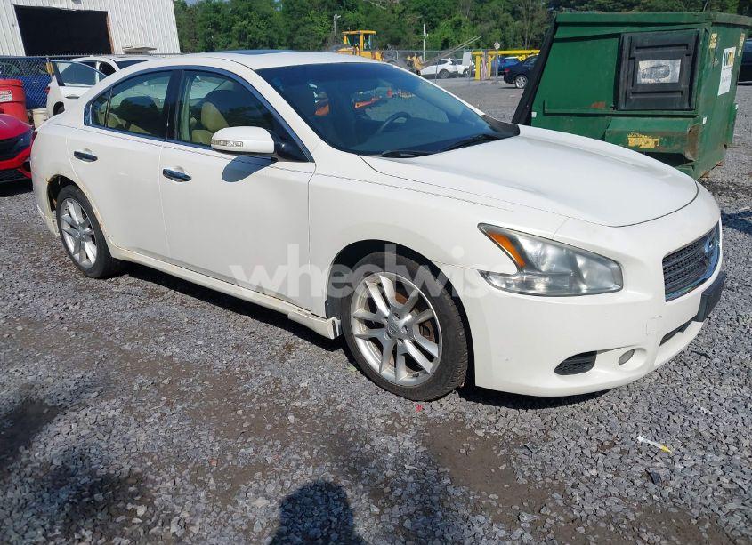 2009 Nissan Maxima 3.5 SV (VIN 1N4AA51E39C857097) main photo
