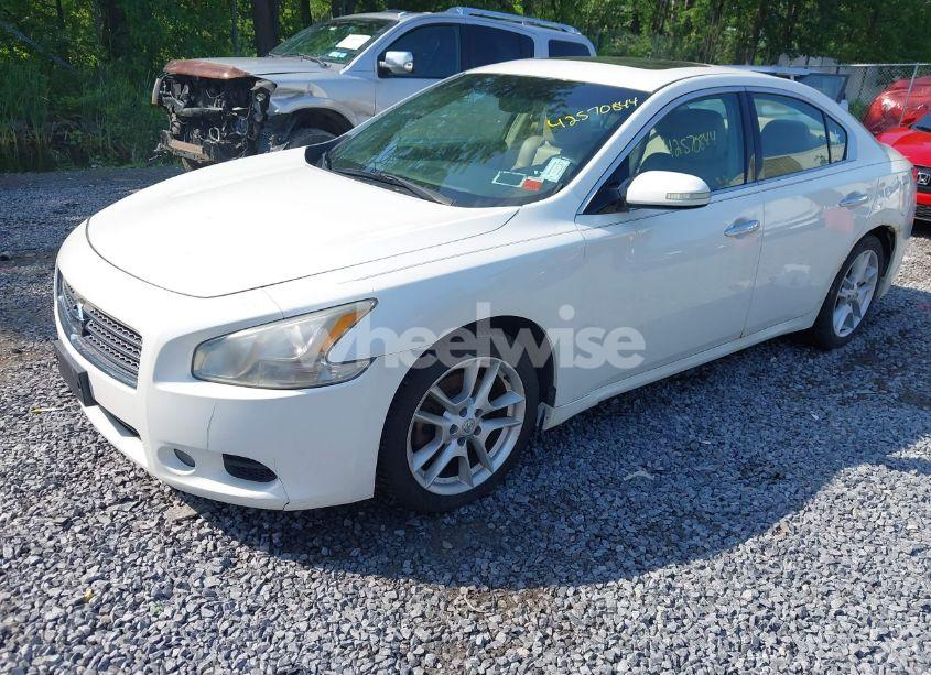 Photo 2 of 2009 Nissan Maxima 3.5 SV (VIN 1N4AA51E39C857097)