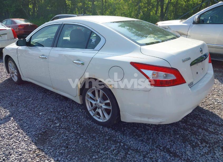 Photo 3 of 2009 Nissan Maxima 3.5 SV (VIN 1N4AA51E39C857097)