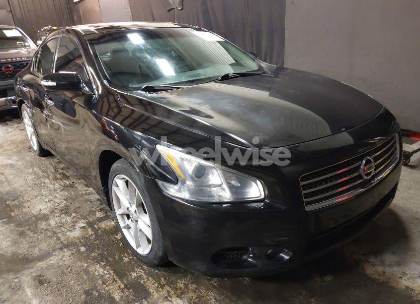 2009 Nissan Maxima 3.5 SV (VIN 1N4AA51E49C804439) main photo