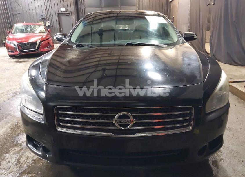 Photo 12 of 2009 Nissan Maxima 3.5 SV (VIN 1N4AA51E49C804439)