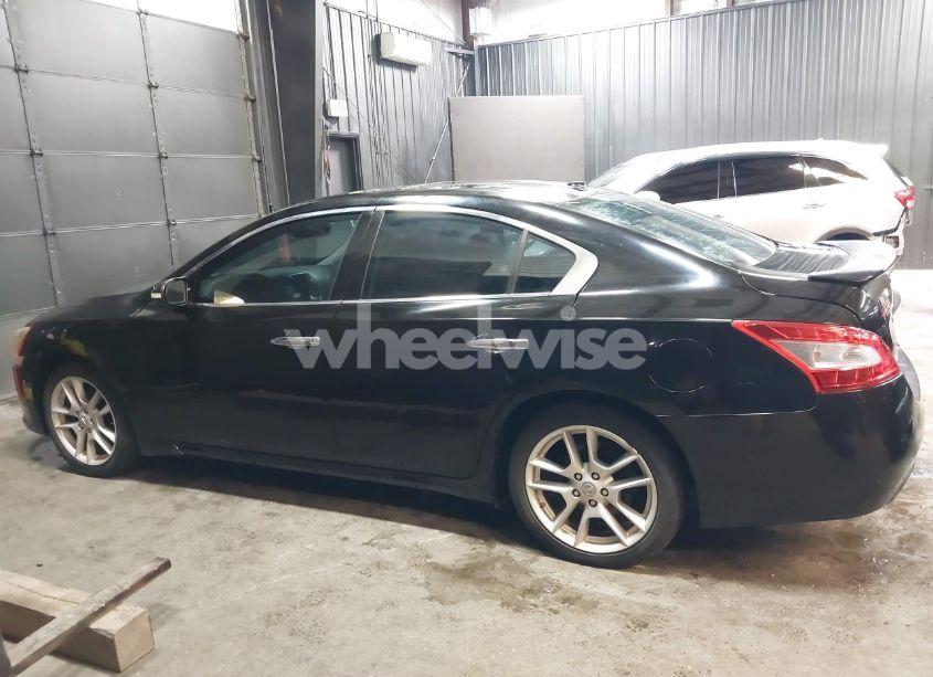 Photo 14 of 2009 Nissan Maxima 3.5 SV (VIN 1N4AA51E49C804439)