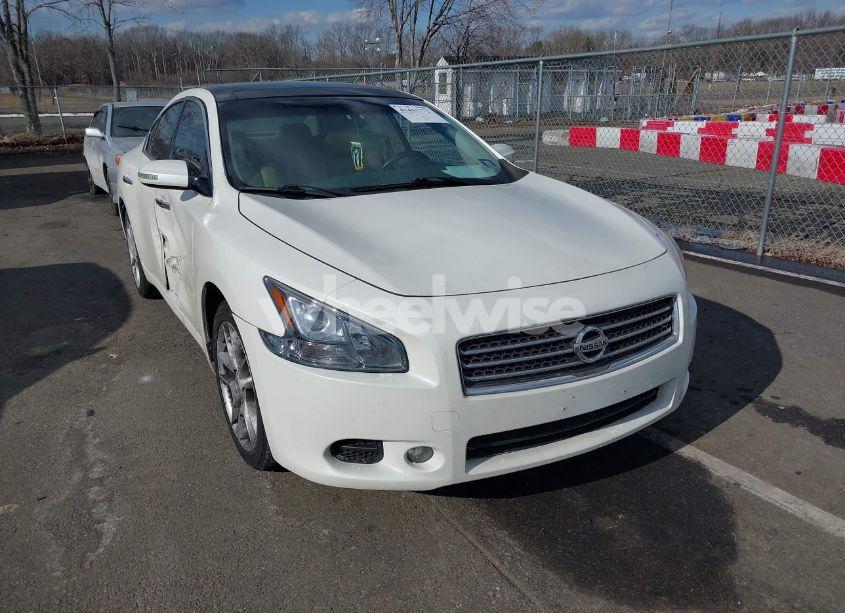 2009 Nissan Maxima 3.5 SV (VIN 1N4AA51E49C807230) main photo
