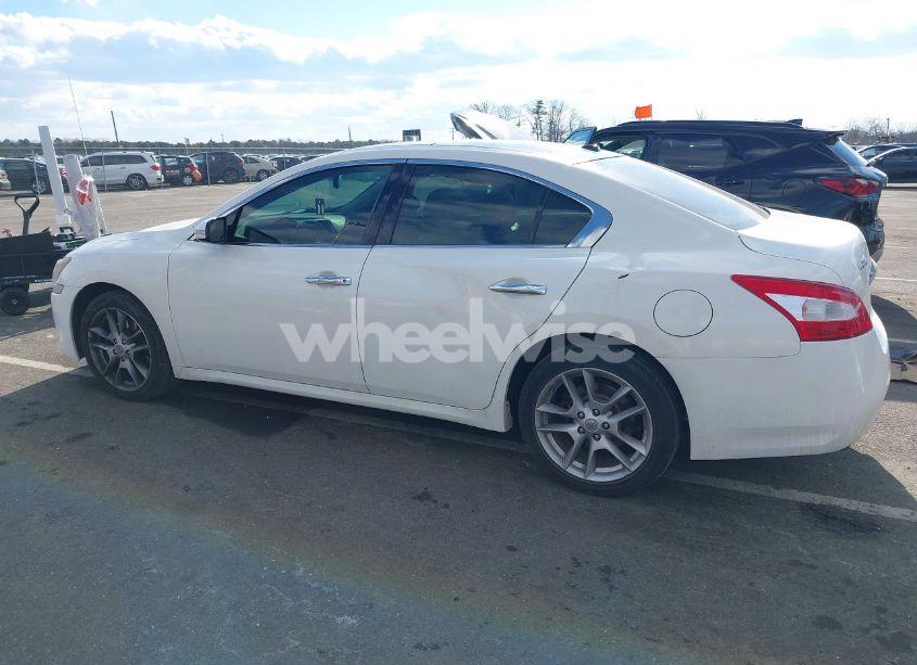 Photo 14 of 2009 Nissan Maxima 3.5 SV (VIN 1N4AA51E49C807230)