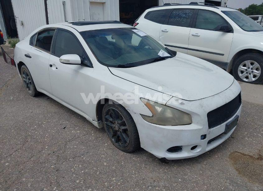 2009 Nissan Maxima 3.5 SV (VIN 1N4AA51E49C816932) main photo