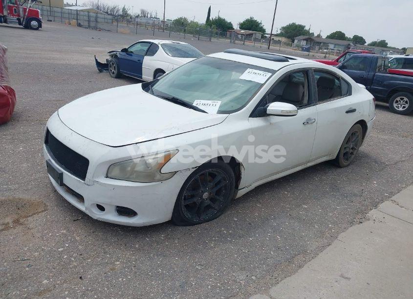 Photo 2 of 2009 Nissan Maxima 3.5 SV (VIN 1N4AA51E49C816932)