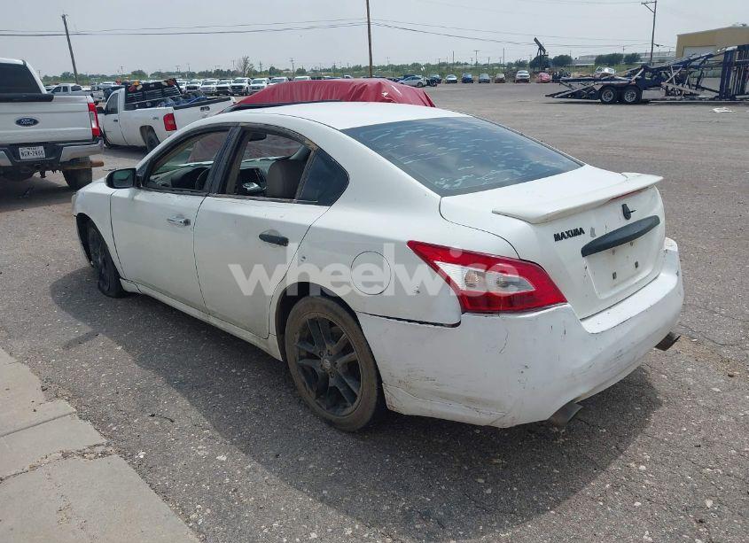 Photo 3 of 2009 Nissan Maxima 3.5 SV (VIN 1N4AA51E49C816932)