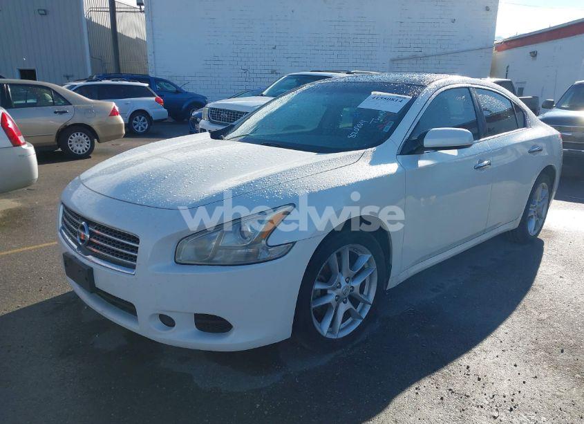Photo 2 of 2009 Nissan Maxima 3.5 S (VIN 1N4AA51E49C820804)