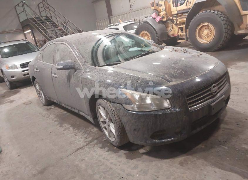 2009 Nissan Maxima 3.5 SV (VIN 1N4AA51E49C824822) main photo