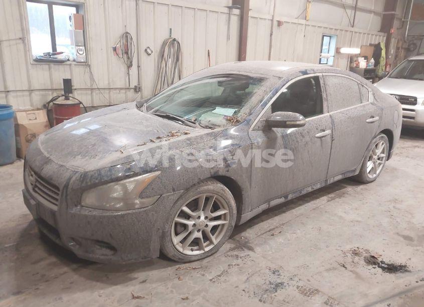 Photo 2 of 2009 Nissan Maxima 3.5 SV (VIN 1N4AA51E49C824822)