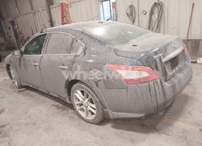 Photo 3 of 2009 Nissan Maxima 3.5 SV (VIN 1N4AA51E49C824822)