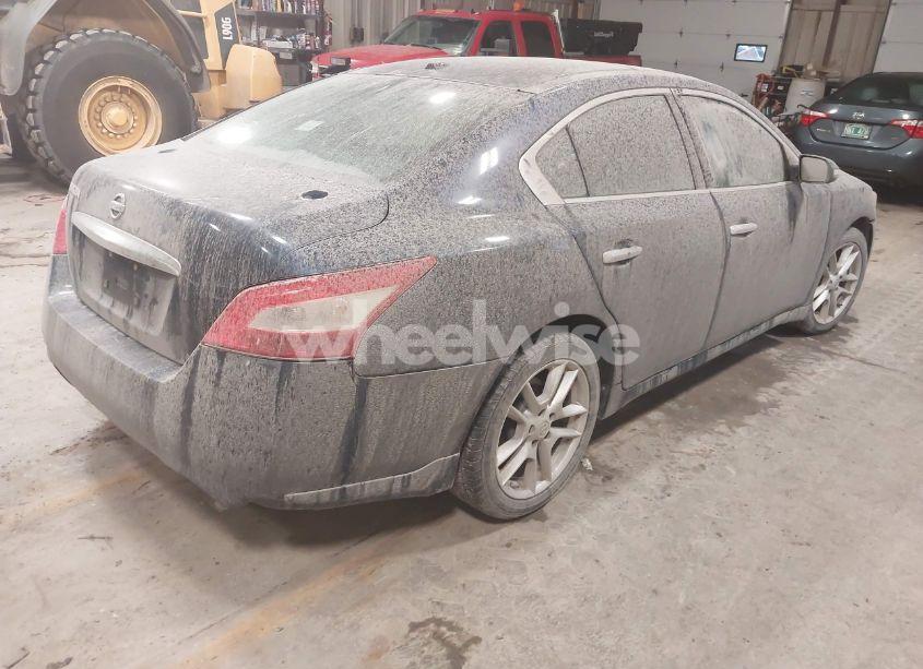 Photo 4 of 2009 Nissan Maxima 3.5 SV (VIN 1N4AA51E49C824822)