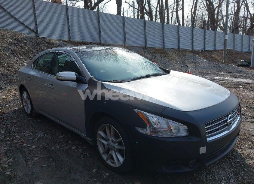 2009 Nissan Maxima 3.5 SV (VIN 1N4AA51E49C825453) main photo