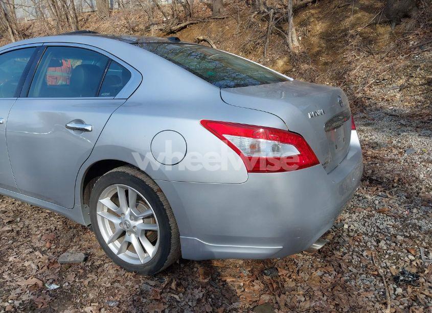 Photo 12 of 2009 Nissan Maxima 3.5 SV (VIN 1N4AA51E49C825453)