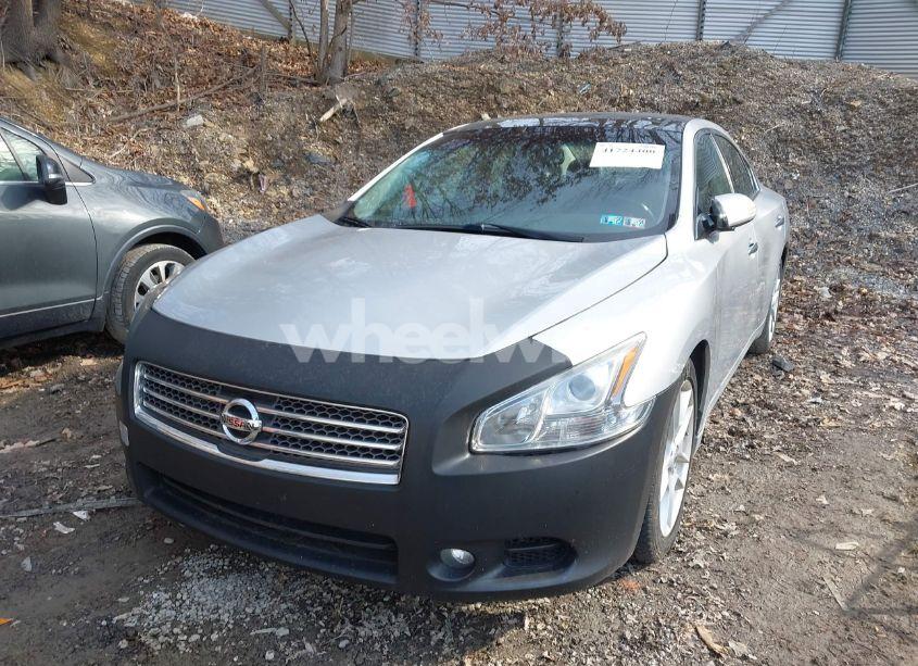 Photo 15 of 2009 Nissan Maxima 3.5 SV (VIN 1N4AA51E49C825453)