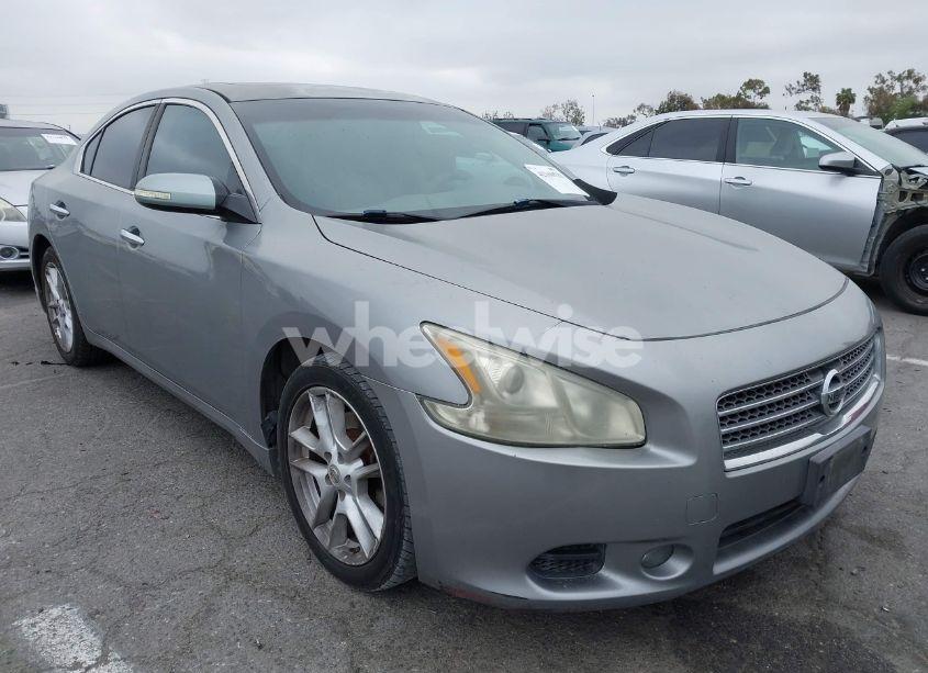 2009 Nissan Maxima 3.5 SV (VIN 1N4AA51E49C831446) main photo