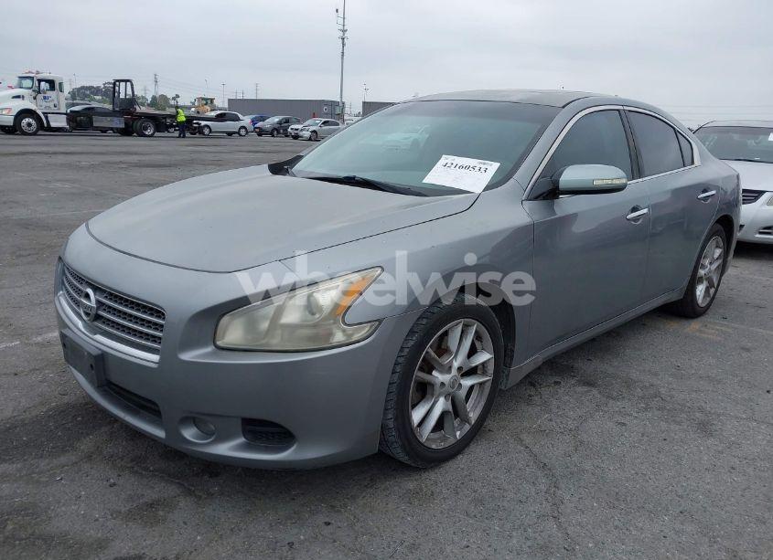 Photo 2 of 2009 Nissan Maxima 3.5 SV (VIN 1N4AA51E49C831446)