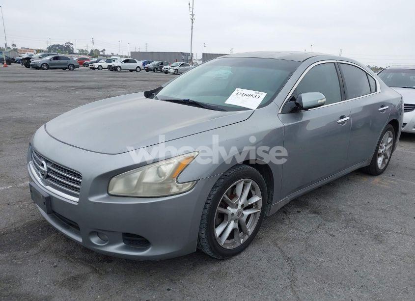 Photo 6 of 2009 Nissan Maxima 3.5 SV (VIN 1N4AA51E49C831446)