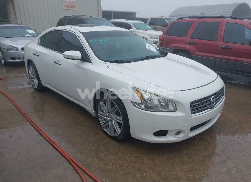 2009 Nissan Maxima 3.5 SV (VIN 1N4AA51E49C836601) main photo
