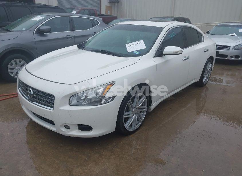 Photo 2 of 2009 Nissan Maxima 3.5 SV (VIN 1N4AA51E49C836601)