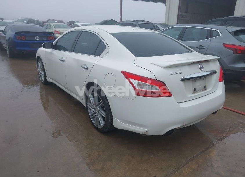 Photo 3 of 2009 Nissan Maxima 3.5 SV (VIN 1N4AA51E49C836601)