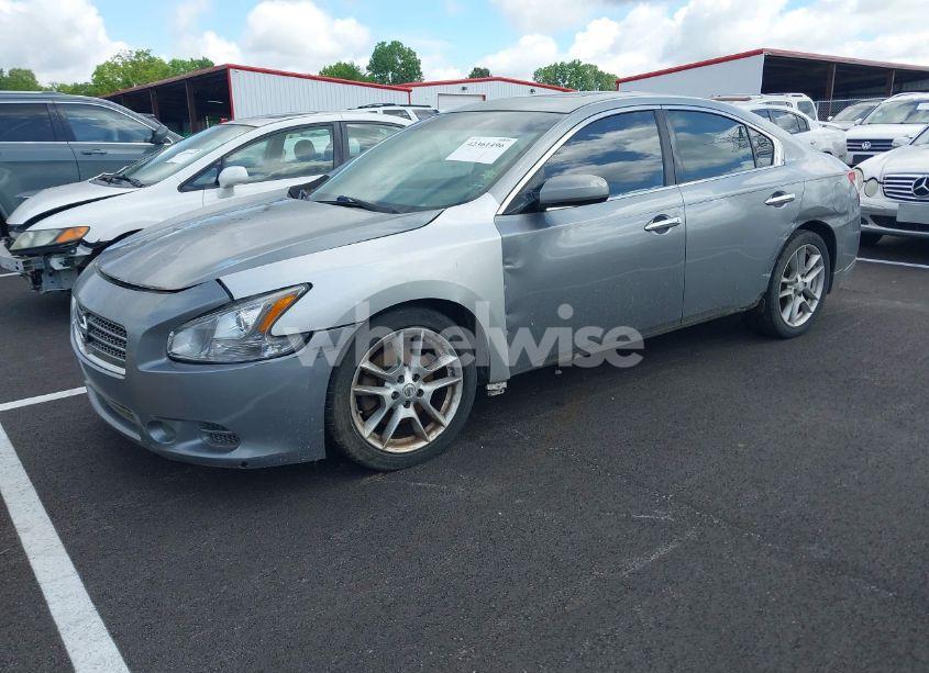 Photo 2 of 2009 Nissan Maxima 3.5 S (VIN 1N4AA51E49C844200)