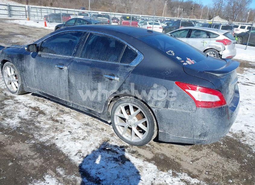 Photo 3 of 2009 Nissan Maxima 3.5 SV (VIN 1N4AA51E49C850160)
