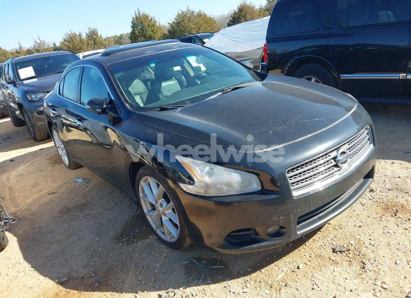 2009 Nissan Maxima 3.5 SV (VIN 1N4AA51E49C852281) main photo