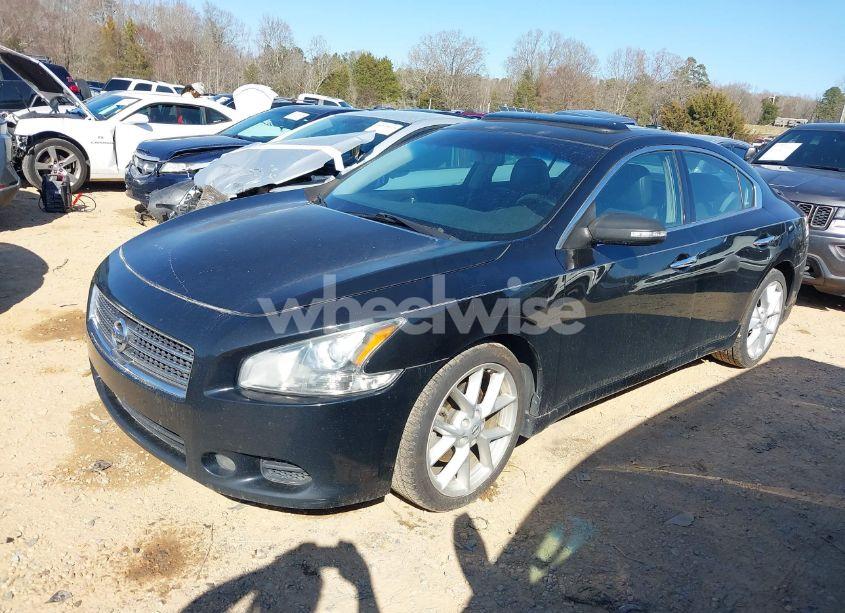 Photo 2 of 2009 Nissan Maxima 3.5 SV (VIN 1N4AA51E49C852281)