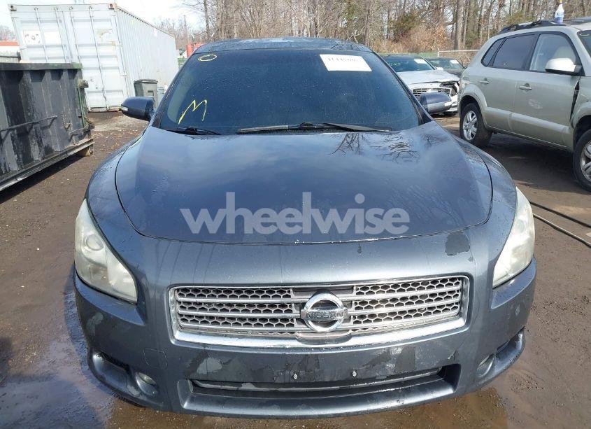 Photo 12 of 2009 Nissan Maxima 3.5 SV (VIN 1N4AA51E49C858758)