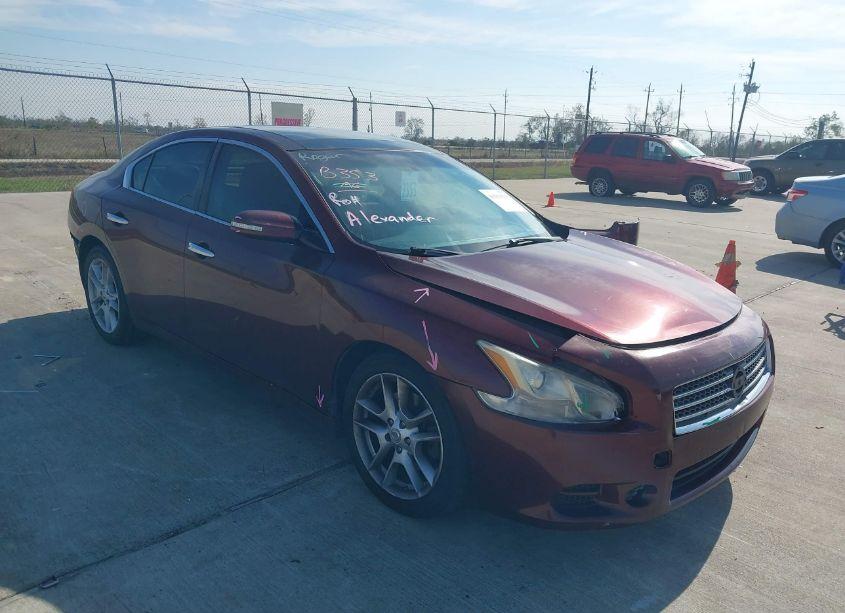 2009 Nissan Maxima 3.5 SV (VIN 1N4AA51E59C822920) main photo