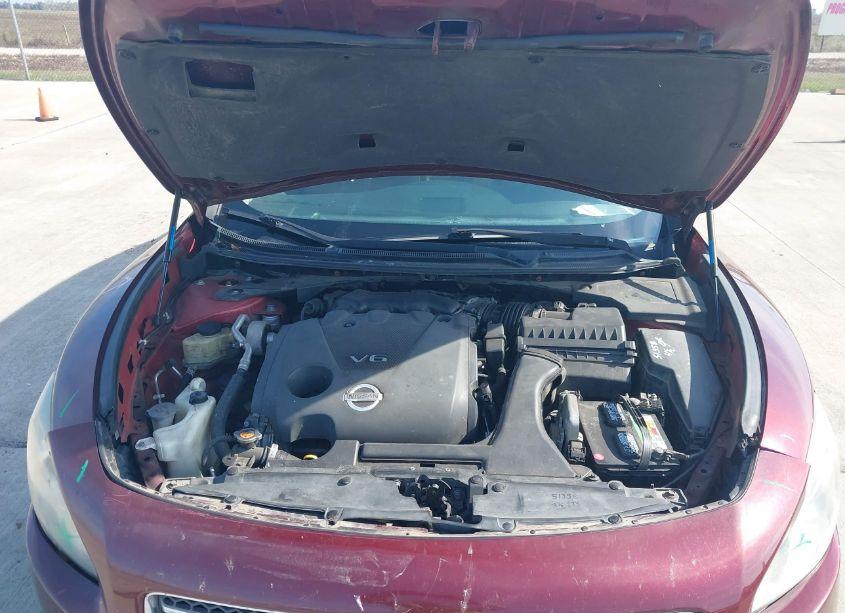 Photo 10 of 2009 Nissan Maxima 3.5 SV (VIN 1N4AA51E59C822920)