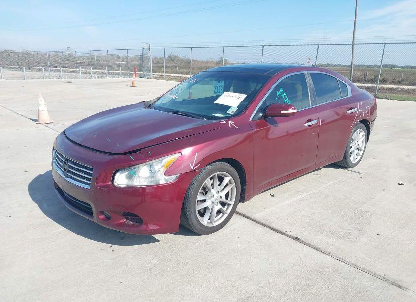 Photo 2 of 2009 Nissan Maxima 3.5 SV (VIN 1N4AA51E59C822920)