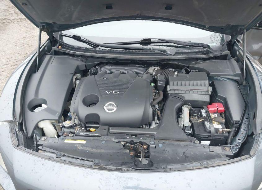 Photo 10 of 2009 Nissan Maxima 3.5 S (VIN 1N4AA51E59C831195)