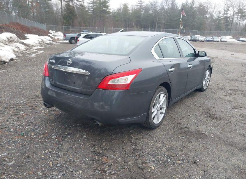 Photo 4 of 2009 Nissan Maxima 3.5 S (VIN 1N4AA51E59C831195)
