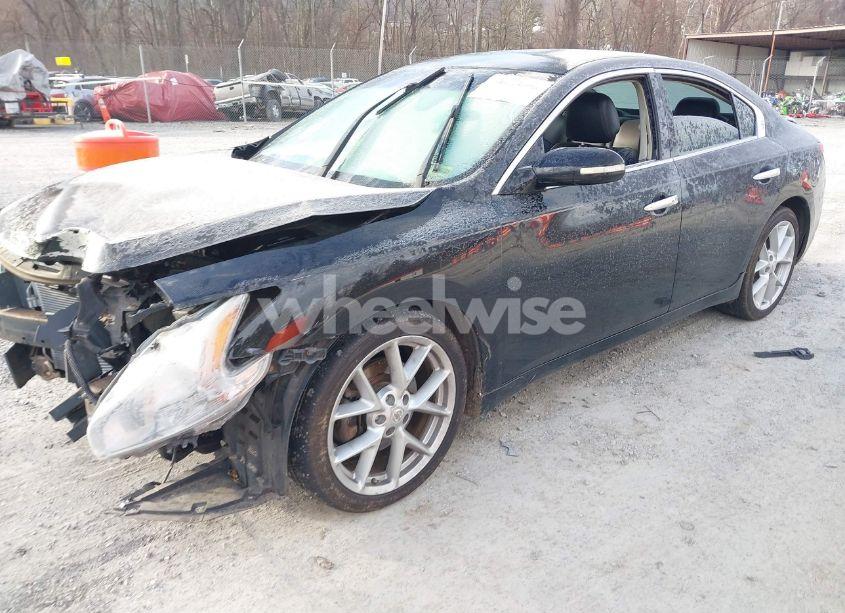 Photo 2 of 2009 Nissan Maxima 3.5 SV (VIN 1N4AA51E59C840608)