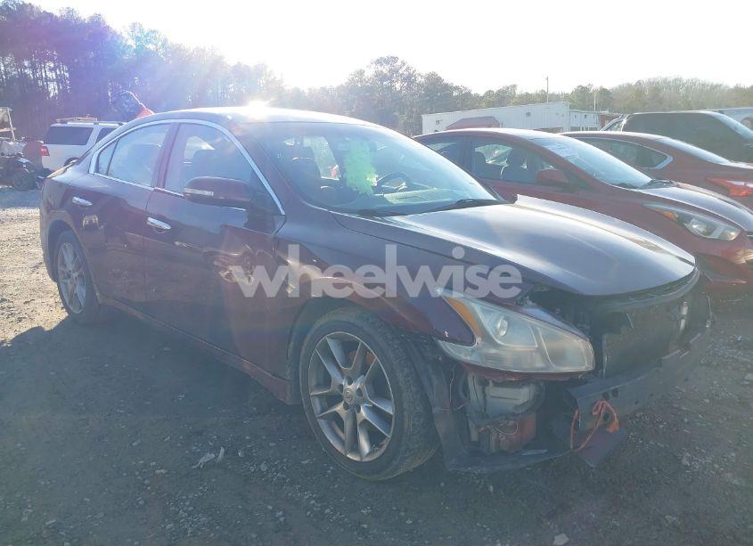 2009 Nissan Maxima 3.5 SV (VIN 1N4AA51E59C842858) main photo