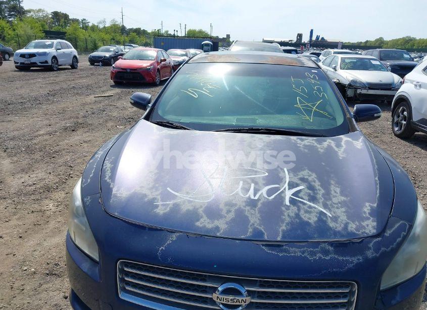 Photo 6 of 2009 Nissan Maxima 3.5 SV (VIN 1N4AA51E59C848157)