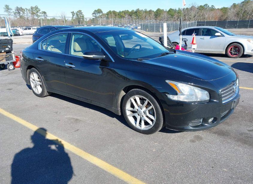 2009 Nissan Maxima 3.5 SV (VIN 1N4AA51E59C851995) main photo