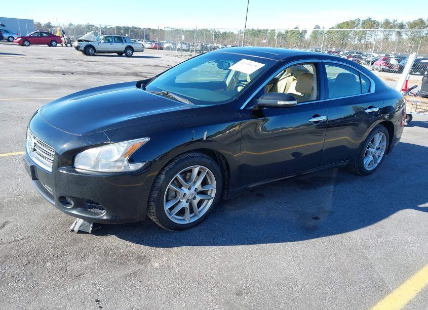Photo 2 of 2009 Nissan Maxima 3.5 SV (VIN 1N4AA51E59C851995)