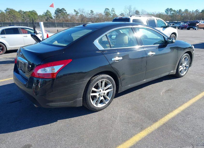 Photo 4 of 2009 Nissan Maxima 3.5 SV (VIN 1N4AA51E59C851995)