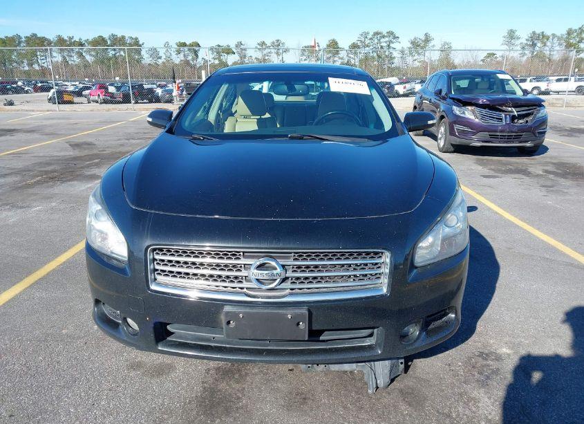 Photo 6 of 2009 Nissan Maxima 3.5 SV (VIN 1N4AA51E59C851995)