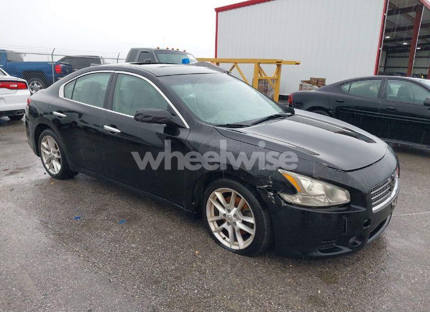 2009 Nissan Maxima 3.5 SV (VIN 1N4AA51E59C852323) main photo