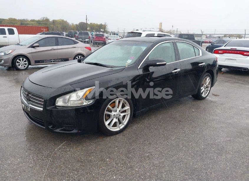 Photo 2 of 2009 Nissan Maxima 3.5 SV (VIN 1N4AA51E59C852323)